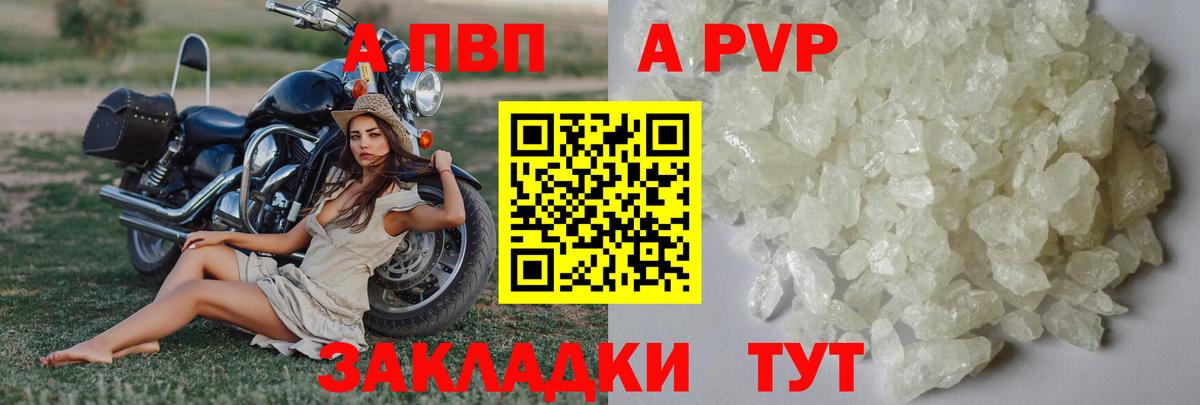 A PVP СК Мурманск