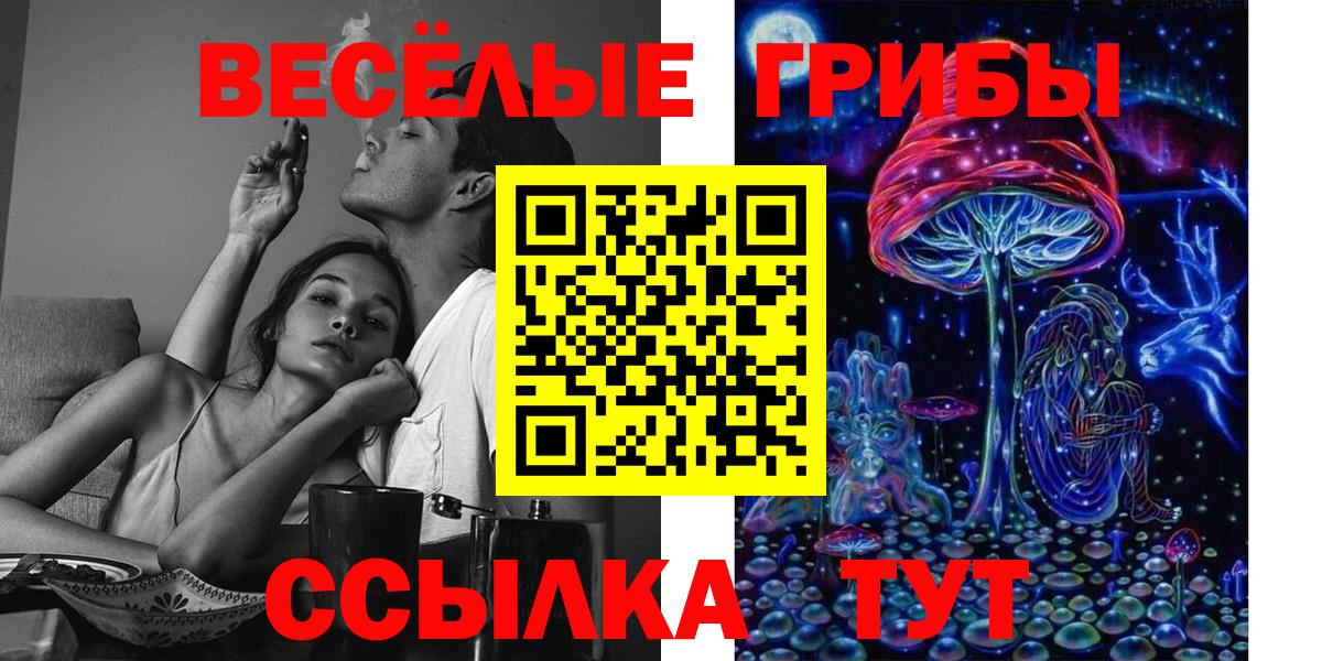 Галлюциногенные грибы GOLDEN TEACHER Мурманск
