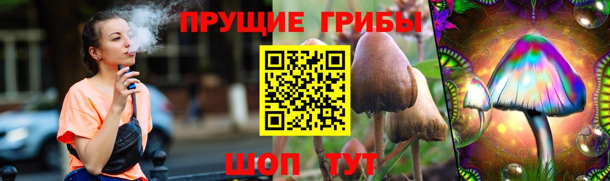 Псилоцибиновые грибы Psilocybe  Вход с VPN  Псилоцибиновые грибы прущие грибы  Мурманск 